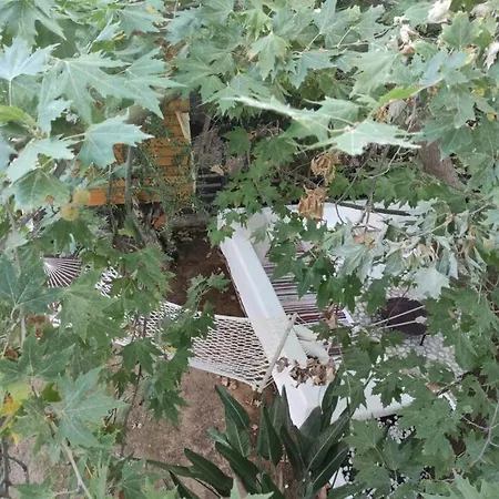 κουκουβαγιακι Villa Kalamata