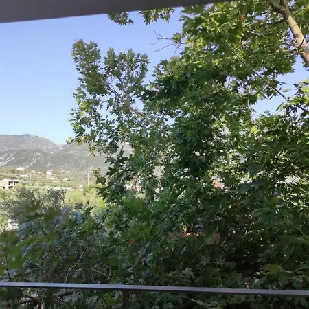 κουκουβαγιακι Kalamata