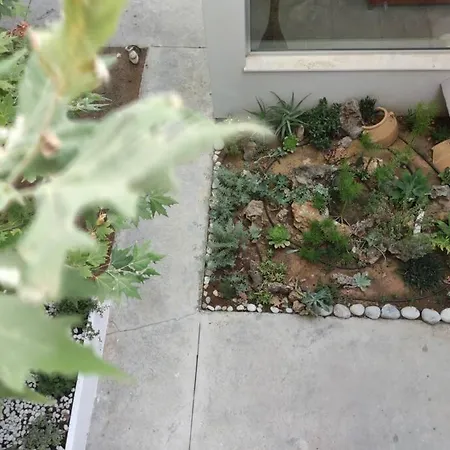 κουκουβαγιακι Villa