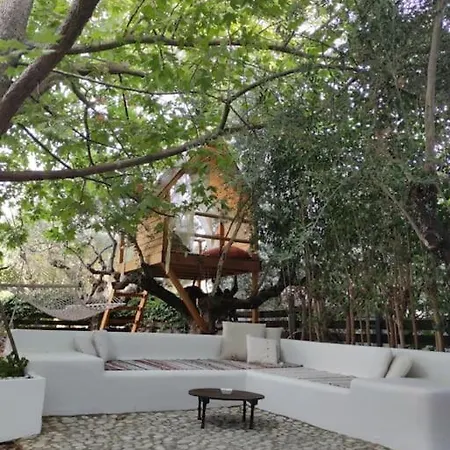 Villa κουκουβαγιακι Kalamata